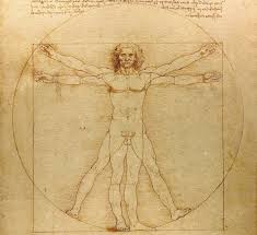 The new science of human attraction, women show a stronger attraction toward men with a. 5 Useless Body Parts Vestigial Organs Live Science
