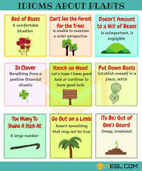 Your favorite blooms — from roses and peonies to lilies and daisies — send specific everyone knows the phrase, a rose by any other name would smell as sweet. and sure, the name of a flower may not carry a whole lot of symbolism — but the. 15 Useful Trees Plants And Flowers Idioms In English 7esl