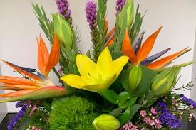 Maybe you would like to learn more about one of these? Visit Mchenry County Illinois Birds Of Paradise Flower Gifts