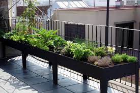 The Small Space Raised Garden Apartment Patio Gardens Apartment Garden Patio Plants