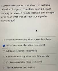 Solved Is The Following An Ultimate Or Proximate Question Chegg Com