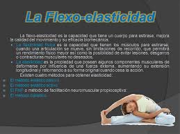 La elasticidad es la sensibilidad de variación que presenta una variable a los cambios simplificando, la elasticidad es la variación porcentual que padece una variable x al darse un cambio en una variable y. Anabel Hernandez Galvan La Velocidad La Fuerza La Resistencia La Flexo Elasticidad Ppt Descargar