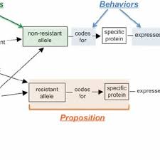 PDF) Introductory Biology Students' Conceptual Models and Explanations of  the Origin of Variation