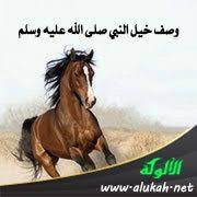 شبكة الألوكة