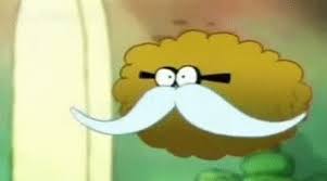 37 of the best memes about canada on the internet. Gif Zumba Christian Lindner Memes Animated Gif On Gifer