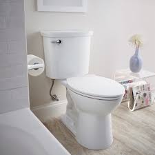 There is also the dual it may require breaking old familiar routines but it is well worth it. 5 List For Choosing The Perfect Dual Flush Toilet By Review Center Hq Medium