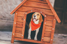 Get the lowest prices with free home delivery. The 10 Best Pet Med Stores For 2021 Free Buyers Guide