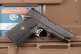 Image result for Grace Silver 1991 Colt