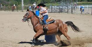 It's designed to spread the weight of the rider over a larger area of the horses back, making it more. Why So Many Western Riders Still Don T Wear Helmets