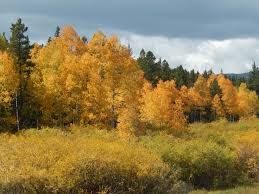 Hike We Like Caribou Ranch Loop Colorado Relocation Guide Hikes Near Denver Colorado Hiking Day Hike