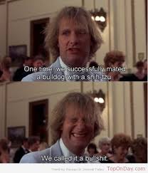 Listrigue 25 Dumb And Dumber Quotes Used In Everyday Life