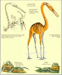 See more of trees that look like humans on facebook. This Book Imagines What Animals Might Look Like If Humans Went Extinct The Verge