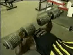 Best bodybuilder ever.aint nothin but a peanut pt. Awesome Gif Image Light Weight Ronnie Coleman Yeah Buddy Gif