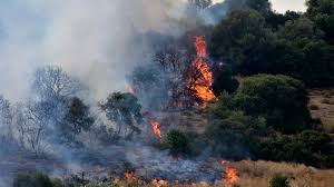 22.06.2020 | 15:12 φωτιά εύβοια τώρα: Megalh Fwtia Sthn Eyboia Zhth8hke Ekkenwsh Xwrioy O Kapnos Eftase Mexri Thn Attikh