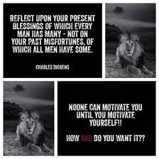 Pin On Motivational Quotes Lion