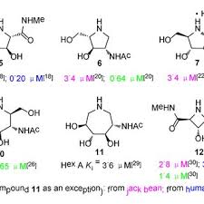 Image result for Angylocalyx boutiqueanus