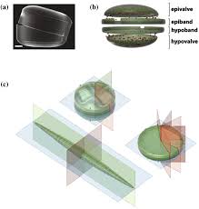 Casting processes involve pouring molten metal into a mold cavity where, once solid, the metal takes the shape of the cavity. Frontiers Of Light Manipulation In Natural Metallic And Dielectric Nanostructures Springerlink