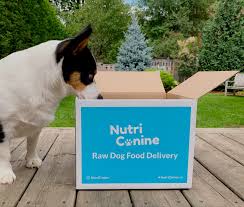 There are varying opinions about the amount of raw food to feed dogs and cats, and the amount can vary quite a bit with the metabolism and activity level of your pet. Locally Made To Order Raw Dog Food Brand Nutricanine Sets Out To Extend Your Dog S Life View The Vibe Toronto