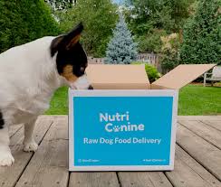 The raw dog food reviews listed below are grouped together by their star ratings. Locally Made To Order Raw Dog Food Brand Nutricanine Sets Out To Extend Your Dog S Life View The Vibe Toronto