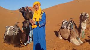 Day trips on camel back are. Marrakech Camel Trips S A R L