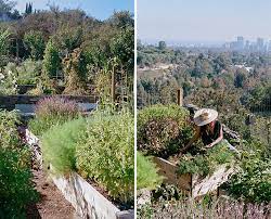 A garden on the west side. 7 Stunning Edible Gardens To Drool Over