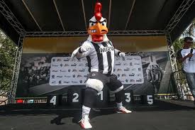 Por isso desenhou o galo forte e vingador, que simboliza o domínio do time sobre os adversários. Pin Em Galoooo