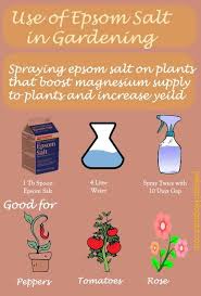 Epsom salts are made up of a chemical salt called magnesium sulfate. Pin On Seed