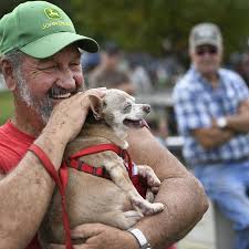 At Carroll County steam show days, programming aims to draw young people to  deals, steel, gas and history