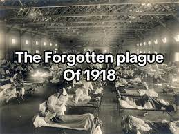 The Deadliest Forgotten Plague: The Pandemic No One Talks About In the... |  encephalitis | TikTok