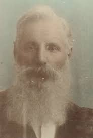 Nehemiah Vernon Stark (1832-1914)