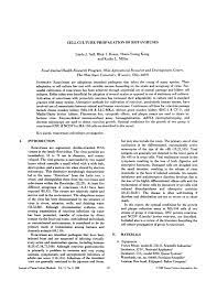 Check spelling or type a new query. Pdf Cell Culture Propagation Of Rotaviruses