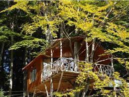 Casa din copac hotel din predeal. Case In Copaci Predeal