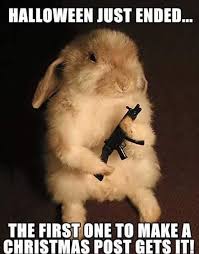 70 Best Spooky Halloween Captions Images Funny Animal Pictures Funny Animals Funny Animal Jokes