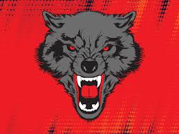 Wolf Cartoon In 2020 Wolf Head Drawing Wild Wolf Wolf Drawing