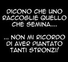 Mi Piace 52 Commenti 3 Il Duca Il Duca E Poi Su Instagram Frecciatine Frasi Citazioni Pensieri Parole Cita Parole Perle Di Saggezza Citazioni