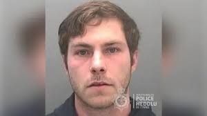 Fonmon crash driver who killed mother in high-speed crash jailed