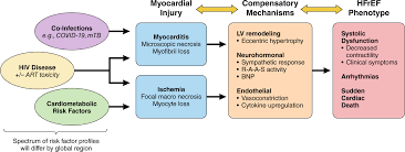 Image result for HIV Pathophysiology