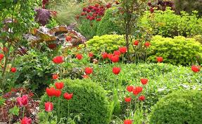Buntes Fruhlingsbeet Mit Stauden Und Zwiebelblumen Blumenbeet Anlegen Stauden Und Pflanzen