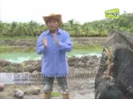 Tanaman jarak pagar merupakan tumbuhan semak berkayu yang banyak ditemukan di daerah tropik. Tanam Pokok Kelapa Pandan Youtube