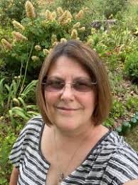 Growing Violets: Wild Violets Flowers In The Garden