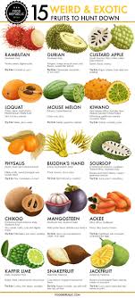 See more ideas about fruit, exotic fruit, fruits and veggies. Guide To Exotic Fruits Coolguides