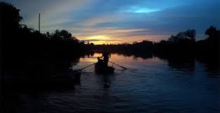 Kuala selangor day trip including riverside dinner. Watching Fireflies At Kuala Selangor Fireflies Park We Go With Anuar