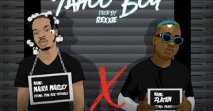Naira Marley Am I A Yahoo Boy Ft Zlatan Naira Marley Finally Drops His Much Anticipated Single Titled Am I A Yahoo Boy He Team Marley Latest Music Mixtape