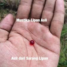 Check spelling or type a new query. Batu Geliga Lipan Asli Shopee Indonesia