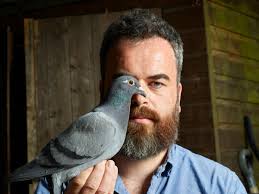 Home to roost: my life as a pigeon fancier