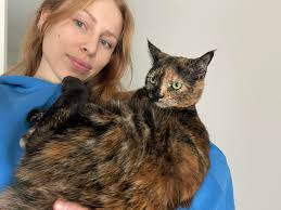 Fernie accommodation for medical student with cat