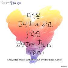 윤도관] 지식은 교만하게 하고, 사랑은 성장하게 합니다. 1코린 8,1
