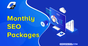 Affordable Monthly SEO Service offered by Oxygenites