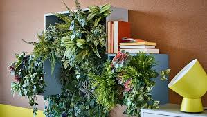 pin van karin de koning butler op mood hangplant muur plant plantendecor