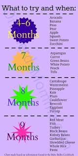 Homemade Baby Food One Nerdy Momma Baby Food Recipes